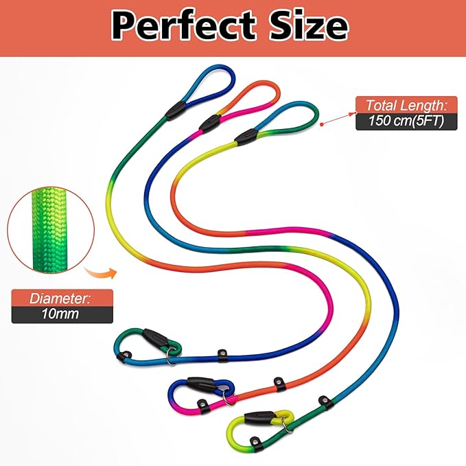 Dog Training Leash